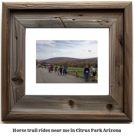 horse trail rides near me in Citrus Park, Arizona